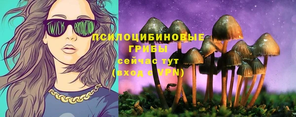 альфа пвп Бородино