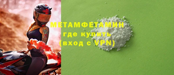 шишки Медвежьегорск