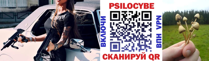 Купить где  Енисейск  Галлюциногенные грибы Psilocybine cubensis 